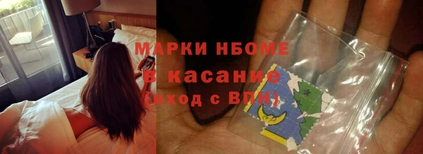 хмурый Аркадак
