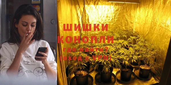 индика Снежногорск