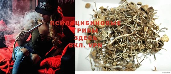 дурь Балахна