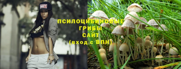 дурь Балахна