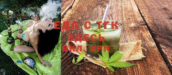 индика Снежногорск